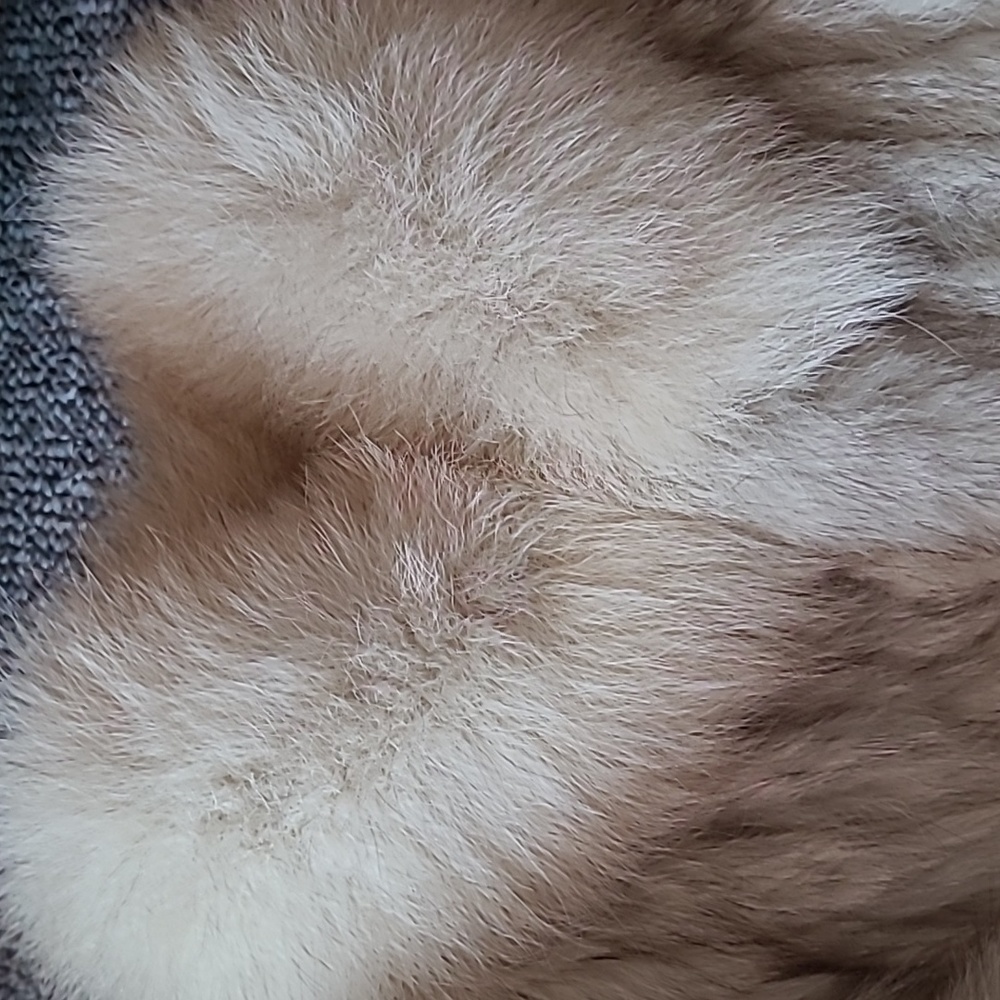 Coat - Picture 5 of 5